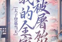 小说完整版《太子登基当天,我的全家被屠殆尽》免费阅读-闪电文学