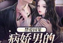 禁爱囚笼:病娇男的独占欲季晏清慕之桃小说免费阅读-闪电文学