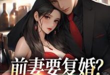 前妻要复婚？我让她跪着滚小说的免费电子版在哪里可以下载或阅读？-闪电文学