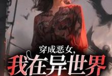穿成恶女,我在异世界重拳出击!小说全文阅读需要付费吗?寻找免费资源-闪电文学