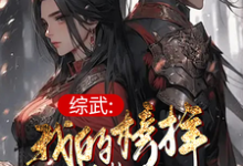 综武:我的榜样叫曹操小说,综武:我的榜样叫曹操在线阅读-闪电文学