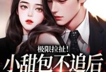 《极限拉扯！小甜包不追后男神他慌了》小说免费阅读完整版-闪电文学
