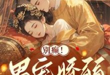 别癫!男宠娇弱,咋会是疯批太子这本小说在哪里可以看?哪里有免费试读章节?-闪电文学