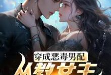 龙傲天小说《教女主厚脸皮,可没教她不要脸啊》在线阅读-闪电文学