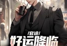完整版小说《官途:好运降临我蹭蹭升职》免费阅读-闪电文学