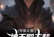 林晨叶寒霜小说完整版《男强女强:神王殿主和女特工闪婚了》免费阅读-闪电文学