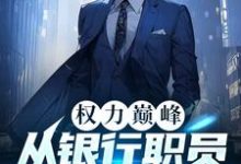 权力巅峰:从银行职员到封疆大吏小说免费资源,权力巅峰:从银行职员到封疆大吏在线阅读-闪电文学