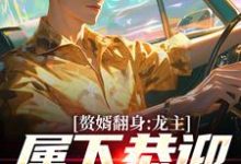 赘婿翻身:龙主,属下恭迎您归位叶尘林含雪小说免费阅读-闪电文学