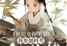 被迫女扮男装，我参加科考做首辅宋良佐林山野，被迫女扮男装，我参加科考做首辅小说免费阅读-闪电文学