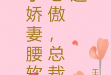 求推荐可以免费阅读小娇妻腰软心傲,总裁迷小说的网站-闪电文学