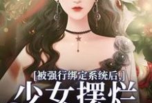 盛清筱小说被强行绑定系统后，少女摆烂发大疯章节免费阅读-闪电文学