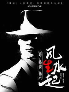 谍战：让你潜伏，你混得风生水起章节免费在线阅读，林江完结版