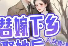 《替嫁下乡,娶她后,他全家都活了》小说免费阅读完整版-闪电文学