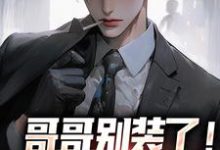 哥哥别装了！你是真有实力小说的免费电子版在哪里可以下载或阅读？-闪电文学