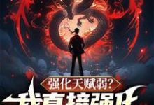寻找能够免费阅读强化天赋弱?我直接强化强化天赋小说的平台-闪电文学