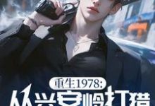 秦风小说完整版《重生1978:从兴安岭打猎到万元户》免费阅读-闪电文学