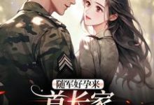 温锦言陆霆钧小说随军好孕来:首长家来了个大美人章节免费阅读-闪电文学