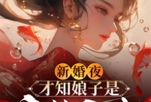新婚夜,才知娘子是魔教圣女李清廉沈玉书小说完结版章节在线阅读-闪电文学