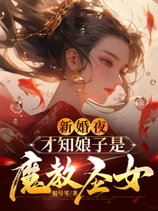 新婚夜，才知娘子是魔教圣女李清廉沈玉书小说完结版章节在线阅读