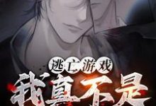 叶翊小说在线章节免费阅读（逃亡游戏：我真不是杀人犯！无弹窗无删减）-闪电文学