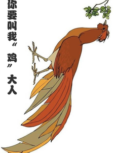 寻找能够免费阅读你要叫我鸡大人小说的平台