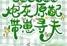 军婚七年未见,炮灰原配带崽寻夫安书陆铮小说在线章节免费阅读-闪电文学