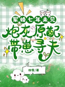 军婚七年未见，炮灰原配带崽寻夫安书陆铮小说在线章节免费阅读