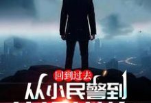 江城小说回到过去:从小民警到仕途巅峰!在线阅读章节-闪电文学