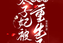 完结版《太子妃被毒死后重生了》章节目录在线阅读-闪电文学
