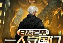 白发老卒:一人守国门弹指镇人间小说无弹窗阅读的网站推荐-闪电文学