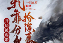 求开局被赐婚,我靠分身扮演幕后小说免费资源-闪电文学