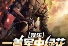 娱乐:一首军中绿花,军嫂破防这本小说怎么样?免费在线阅读试试-闪电文学