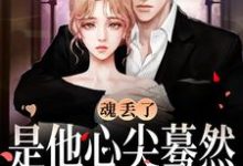完结版《魂丢了，是他心尖蓦然颤动的声音》在线免费阅读-闪电文学