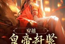 穿越:皇帝赶紧给我打江山小说的无弹窗阅读体验,寻找免费阅读网站-闪电文学