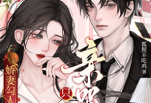 娇妻勾人:离婚个球!只想亲哭她这本小说在哪里可以看?哪里有免费试读章节?-闪电文学