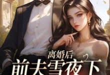离婚后，前夫雪夜下跪求回头完整版小说，离婚后，前夫雪夜下跪求回头免费阅读-闪电文学