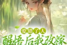完整版小说《爱错了人，醒悟后我改嫁权王你哭啥》免费阅读-闪电文学