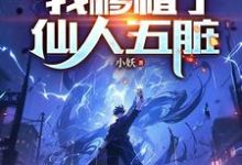 腰子被噶,我移植了仙人五脏陈凡小说免费阅读-闪电文学