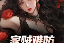 小说完整版《家贼难防:老婆是个扶弟魔》免费阅读-闪电文学