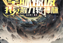 叶晨小说《开局圣脉被废,我觉醒九转神脉》完整版免费阅读-闪电文学