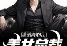 潇洒离婚后,美女总裁绷不住了小说的无弹窗阅读体验,寻找免费阅读网站-闪电文学