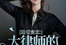 完结版《追爱蜜恋:大律师的惹火宝贝》免费阅读-闪电文学