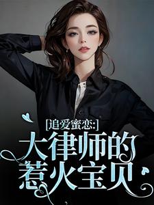 完结版《追爱蜜恋：大律师的惹火宝贝》免费阅读