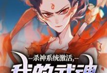 小说《杀神系统激活,我的武魂是哪吒》章节免费阅读-闪电文学