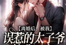 寻找离婚后,被我误惹的太子爷接我回家小说的最新更新章节-闪电文学