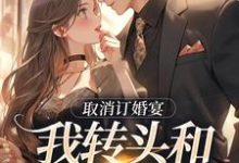 《取消订婚宴,我转头和别人领证》全集免费在线阅读(许星染贺寒声)-闪电文学
