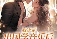 宋棉贺淮川小说《我决定出国学音乐后,大律师后悔了》在线阅读-闪电文学