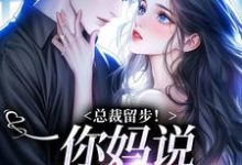 苏苒染完整版小说免费阅读-闪电文学