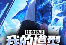 比赛现场,我的模型吓呆鹰酱庞和平在线章节免费阅读-闪电文学