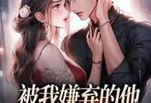 被我嫌弃的他，竟成了我的港湾这本小说在哪里可以看？哪里有免费试读章节？-闪电文学
